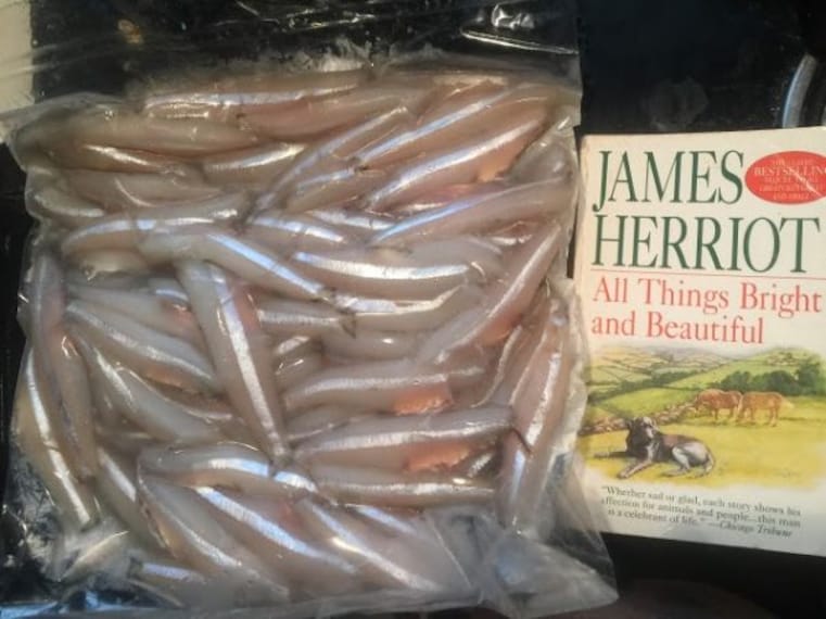 Fresh Seafood on the Beach_3